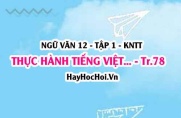 Soạn bài Thực hành tiếng Việt trang 78 Ngữ văn lớp 12 tập 1 Kết nối tri thức